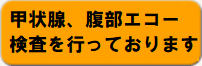 甲状腺、腹部エコー検査を行っております